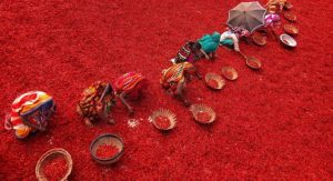 Ngắm chùm ảnh tuyệt đẹp trên đồng ớt chín ở Bangladesh 