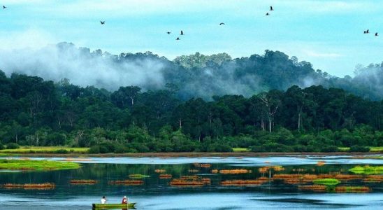 Du lịch 2 ngày 1 đêm - Nam Cát Tiên
