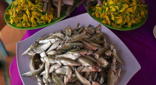 Lẩu cá linh bông điên điển