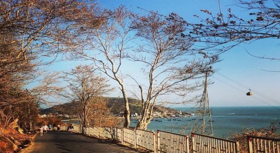 Du lịch Vũng Tàu với đường “Bông Gòn” độc lạ bên triền núi - ảnh 1