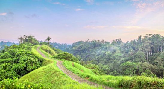 Con đường tình yêu