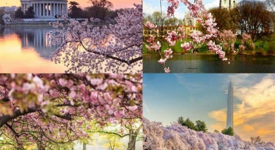 Du lịch bờ Đông nước Mỹ vào mùa xuân và thu