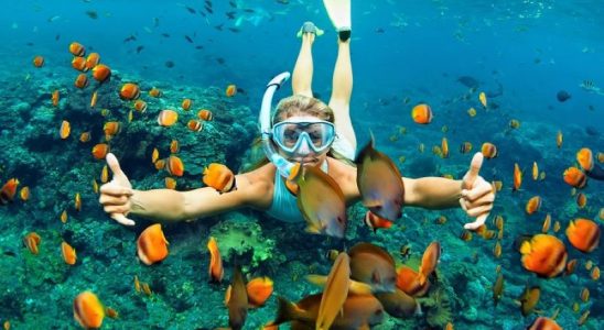 Du khách thích thú với&nbsp;hệ sinh thái biển