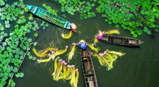 Du lịch sông nước miền Tây