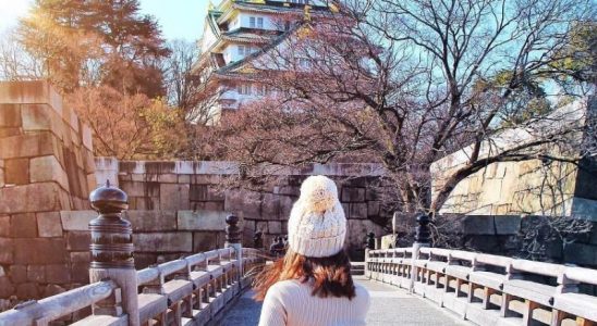 Thời gian lý tưởng nhất để du lịch Osaka tự túc