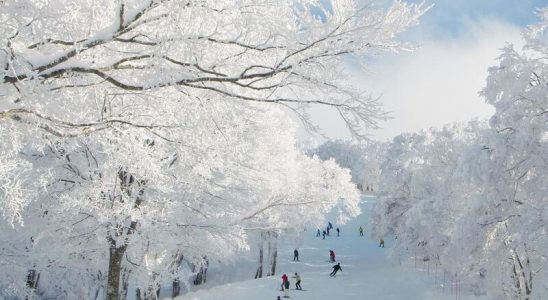 Mùa đông ở Mỹ